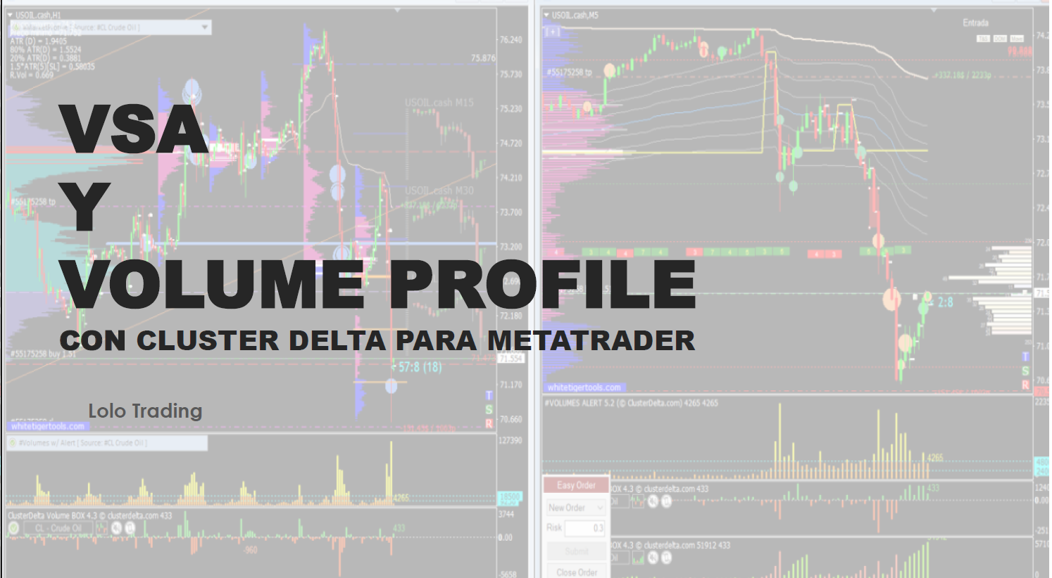 Curso de Order Flow con Cluster Delta o ATAS