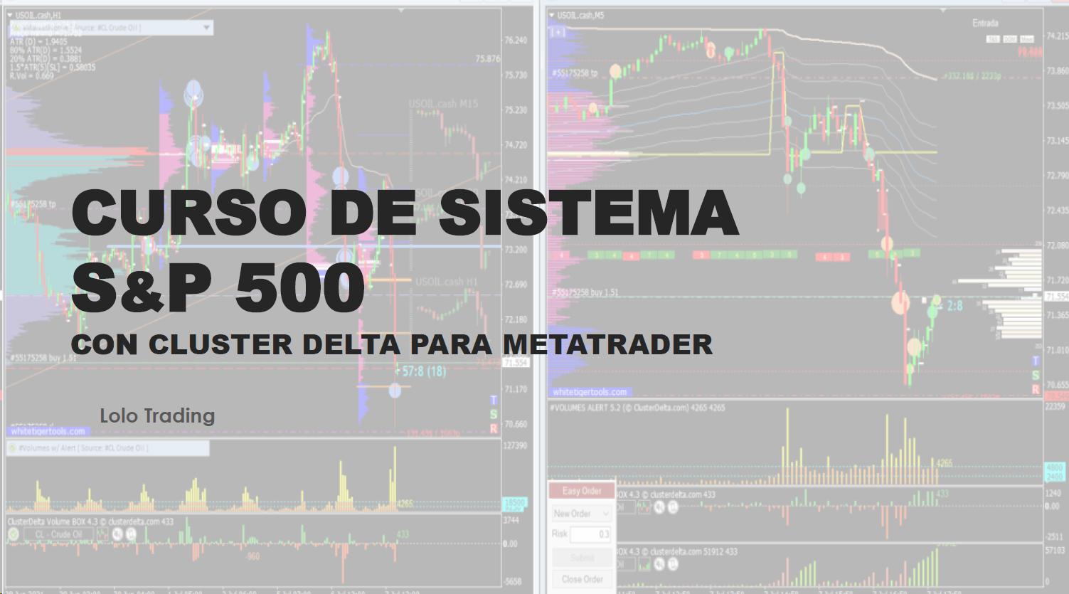 CURSO DE SISTEMA S&P 500 / NASDAQ