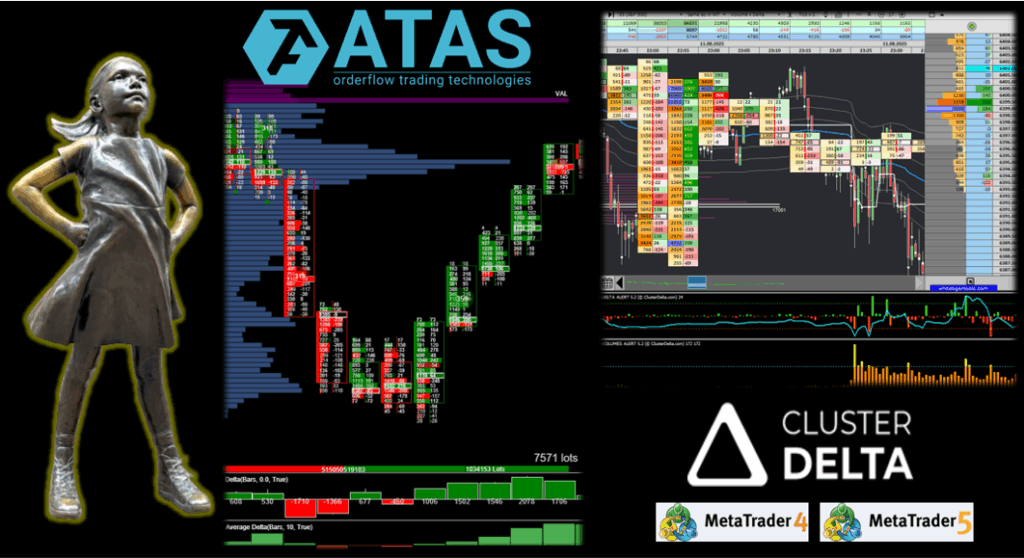 Curso Volumen y Order Flow Lolo Trading